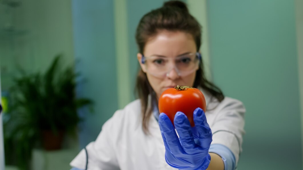 front view biologist reseacher woman analyzing pepper injected with chemical dna scientific agriculture experiment pharmaceutical scientist working microbiology laboratory 482257 15977